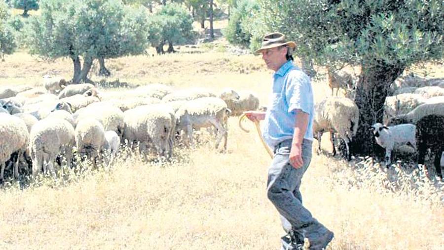 <i>Manuel Torres pastorea su ganado.</i> <i>Manuel Torres pastorea su ganado.</i>