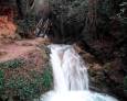La provincia andaluza más verde La provincia andaluza más verde