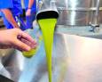 Asaja pide "cordura" y rechaza nuevas movilizaciones en el sector del aceite de oliva Asaja pide "cordura" y rechaza nuevas movilizaciones en el sector del aceite de oliva