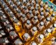 Asaja insta a los ayuntamientos a "dejarse la piel" en favor de los productores de aceite Asaja insta a los ayuntamientos a "dejarse la piel" en favor de los productores de aceite