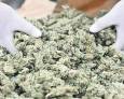 Detenido un iliturgitano de 60 años por cultivar marihuana Detenido un iliturgitano de 60 años por cultivar marihuana