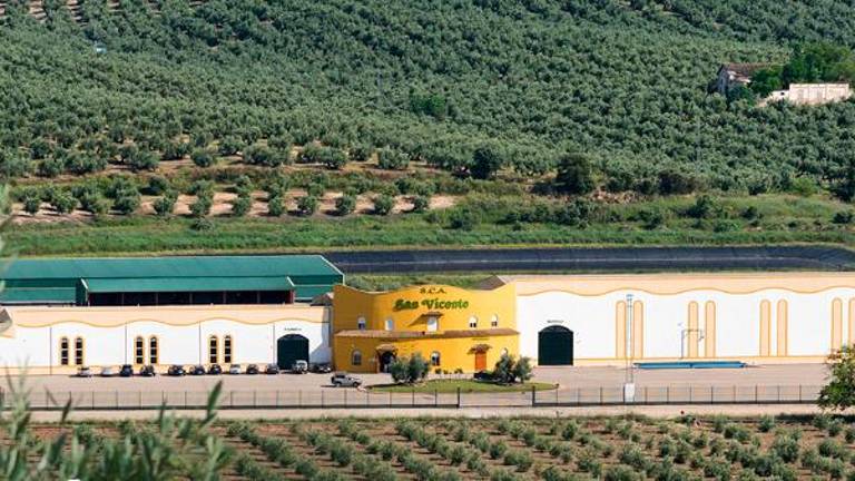 Puertas de las Villas con su Picual Temprano salva la honra de Jaén en la Guía Evooleum Puertas de las Villas con su Picual Temprano salva la honra de Jaén en la Guía Evooleum