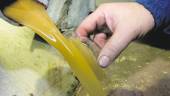 ALIMENTACIÓN. El aceite de oliva es uno de los productos más exportados. 