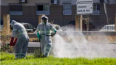 Dos trabajadores durante las labores de fumigación contra los mosquitos causantes del virus del Nilo en Coria del Río.