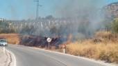 EN LA CUNETA. Incendio en la carretera de Otiñar, a la altura de Puente de la Sierra, antes de que llegara el Cuerpo de Bomberos y agentes de la Guardia Civil. 