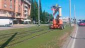 Un operario trabaja en al reparación de la catenaria del tranvía a la altura de la Carretera de Madrid.