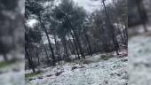 Nieve en la Peña del Águila, en Mancha Real. 