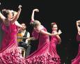 Flamenco y danza para cerrar el curso Flamenco y danza para cerrar el curso