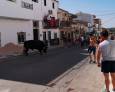El Condado y su tradición taurina El Condado y su tradición taurina