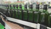 VENTA. Botellas de aceite de oliva pasar por la maquinaria, preparadas para su exportación.
