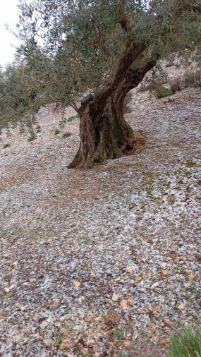 Intensa granizada en Valdepeñas de Jaén este Martes Santo Intensa granizada en Valdepeñas de Jaén este Martes Santo