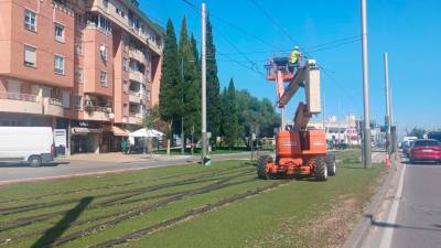 Un operario trabaja en al reparación de la catenaria del tranvía a la altura de la Carretera de Madrid. / Fran Miranda / Diario JAÉN. 