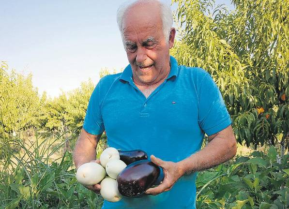 Paco, el hortelano cantor