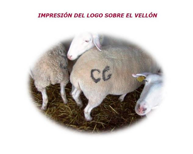 <i>Impresión del logo sobre el vellón.</i> <i>Impresión del logo sobre el vellón.</i>