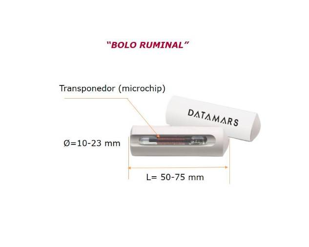 <i>El bolo ruminal.</i> <i>El bolo ruminal.</i>
