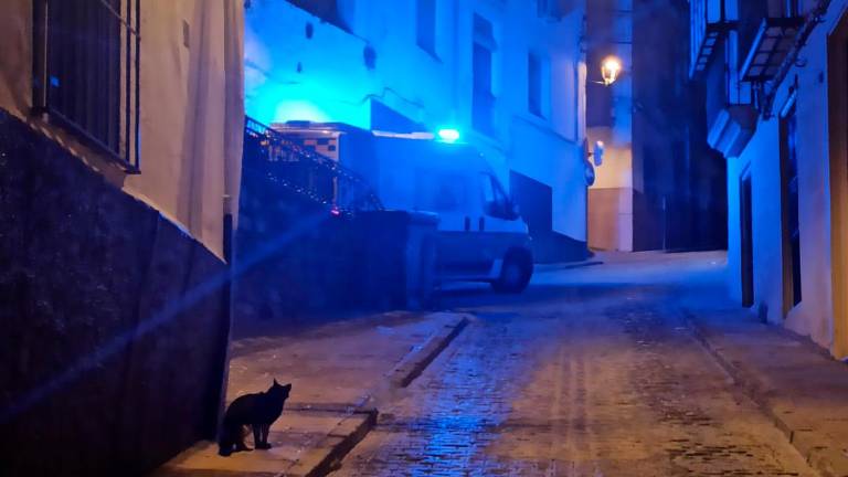 Martos registra dos accidentes con heridos en la noche del martes Martos registra dos accidentes con heridos en la noche del martes