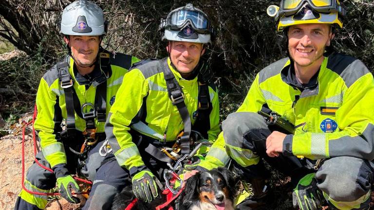 El complejo rescate de Tini, una Border Collie que quedó atrapada en Los Cañones El complejo rescate de Tini, una Border Collie que quedó atrapada en Los Cañones