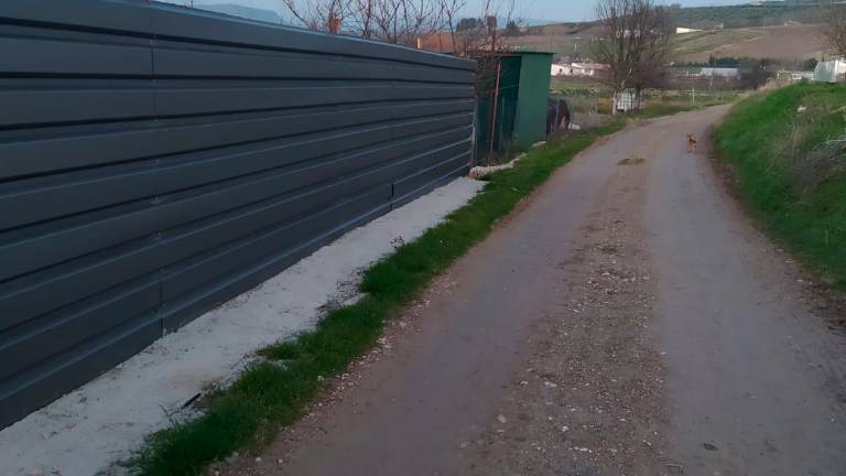 Quejas por la “invasión” de vías pecuarias Quejas por la “invasión” de vías pecuarias