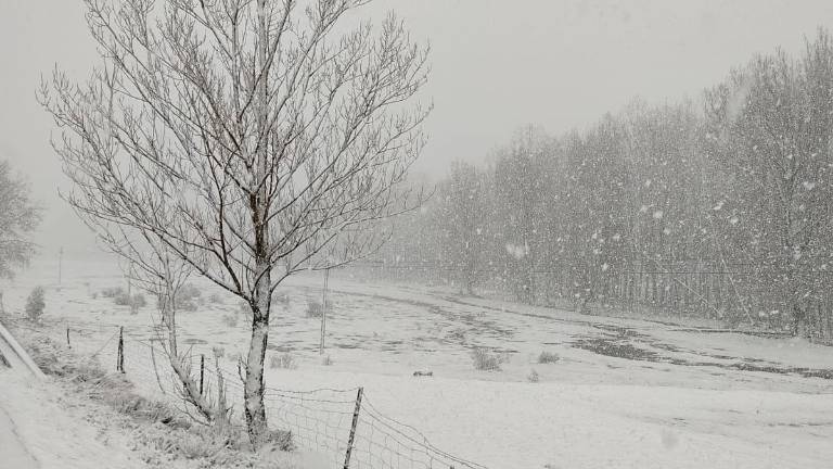 Precaución por nieve si circula por la A-317 o la A-319 Precaución por nieve si circula por la A-317 o la A-319