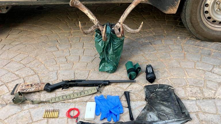 Tres personas investigadas en Jaén por furtivismo y tenencia ilícita de armas Tres personas investigadas en Jaén por furtivismo y tenencia ilícita de armas