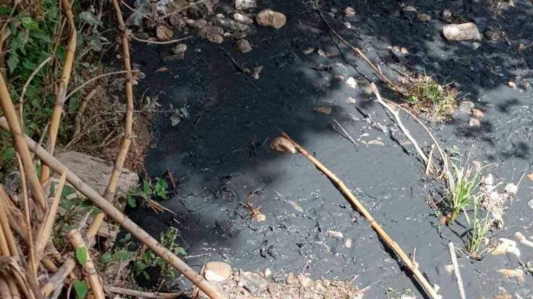 Denuncia el “deteriorado” estado de las zonas rurales Denuncia el “deteriorado” estado de las zonas rurales