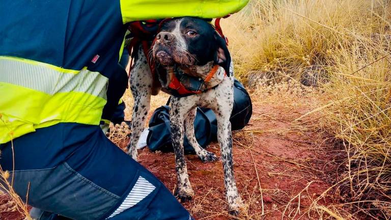 Rescatan a un perro atrapado en un pozo en Mancha Real Rescatan a un perro atrapado en un pozo en Mancha Real