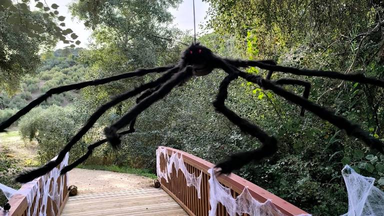 Los Cañones se lo pasa de miedo con su primer Pasaje del Terror Los Cañones se lo pasa de miedo con su primer Pasaje del Terror