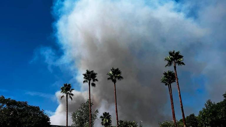 Declarado un incendio en el embalse de Encinarejo en Andújar, los bomberos forestales trabajan para lograr la extinción Declarado un incendio en el embalse de Encinarejo en Andújar, los bomberos forestales trabajan para lograr la extinción