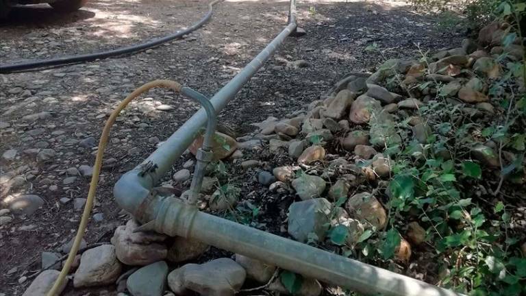 Un vecino de Linares captaba agua ilegalmente para sembrar olivos en el yacimiento de Cástulo Un vecino de Linares captaba agua ilegalmente para sembrar olivos en el yacimiento de Cástulo