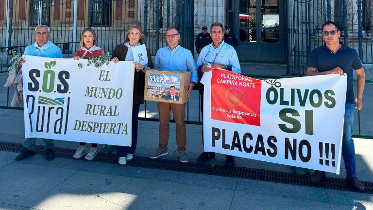 Más de 55.000 firmas contra la tala de olivos centenarios en Lopera Más de 55.000 firmas contra la tala de olivos centenarios en Lopera