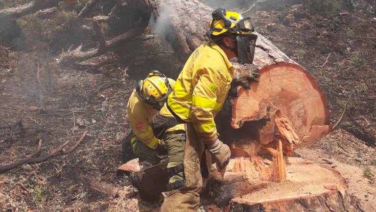 Continúa el remate y extinción de los incendios del Barranco de Guadalentín y del Torcal del Lobo en Cazorla Continúa el remate y extinción de los incendios del Barranco de Guadalentín y del Torcal del Lobo en Cazorla