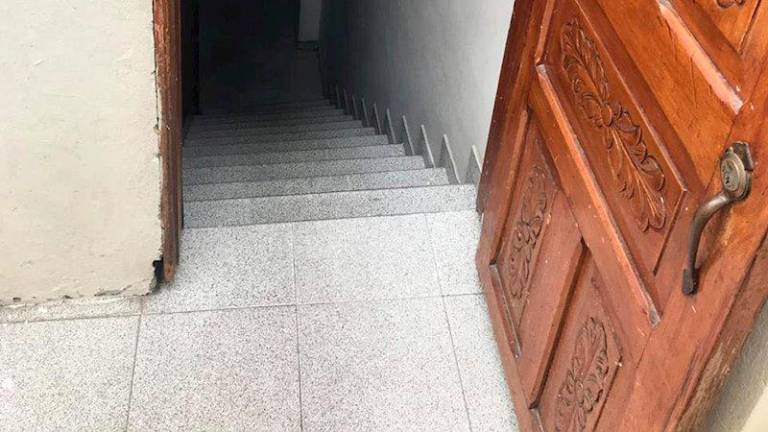 Una gata salva a un niño de un año de caer por las escaleras Una gata salva a un niño de un año de caer por las escaleras
