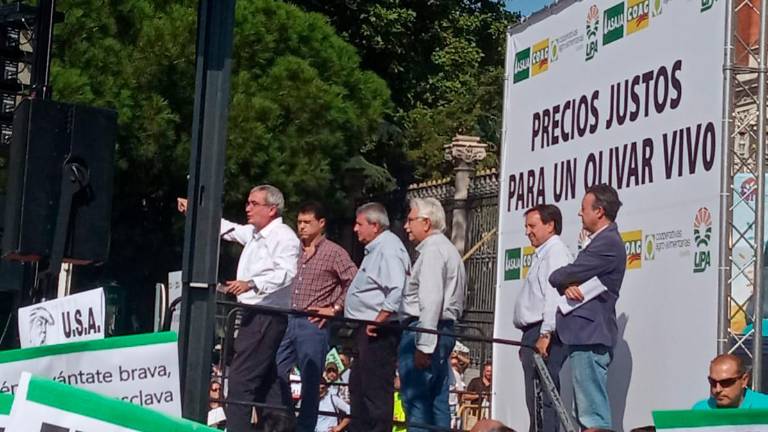 El olivar se levanta por el bajo precio del aceite El olivar se levanta por el bajo precio del aceite