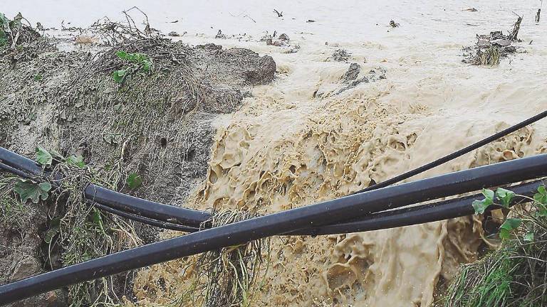 La Campiña, la comarca más damnificada por el temporal