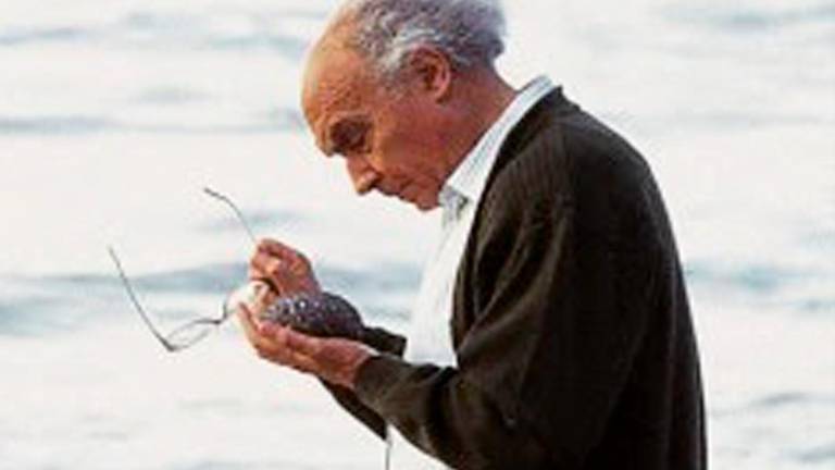 Saramago: Un día, cien años Saramago: Un día, cien años