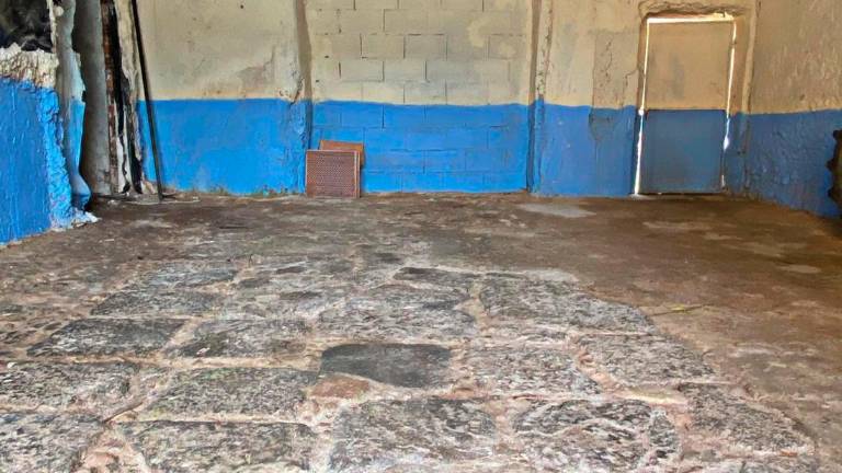 Proyecto para hacer aceite en un molino de 150 años Proyecto para hacer aceite en un molino de 150 años