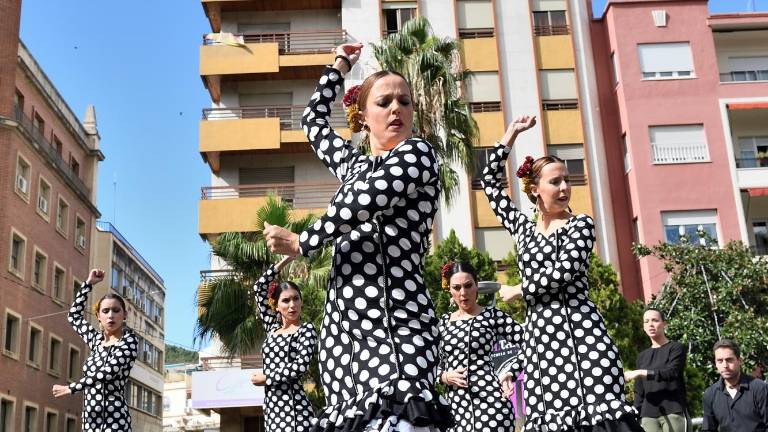 El flamenco es absoluto protagonista El flamenco es absoluto protagonista