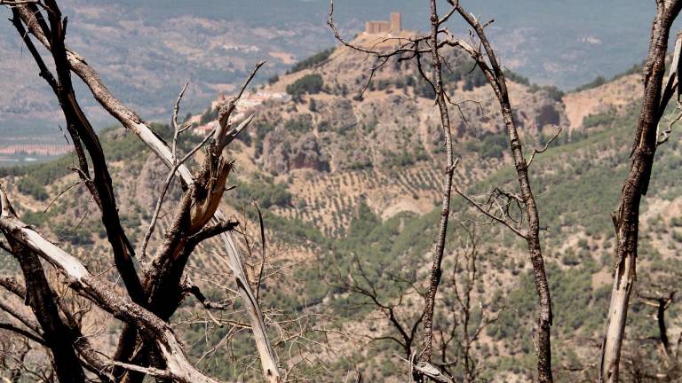 La huella del fuego en Segura