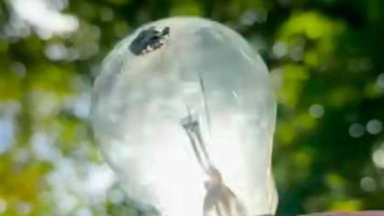 Hasta ahora, una bombilla rota no podía dar luz... Hasta ahora, una bombilla rota no podía dar luz...