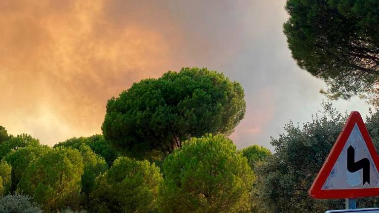 Estabilizado el incendio en Andújar: los vecinos evacuados ya pueden volver a casa Estabilizado el incendio en Andújar: los vecinos evacuados ya pueden volver a casa