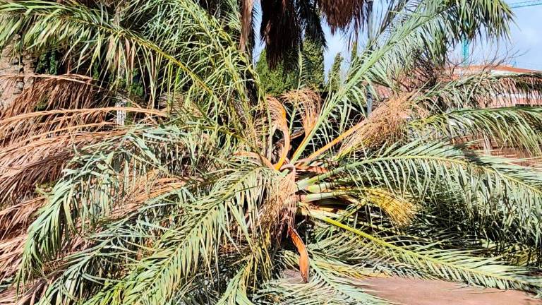 Tras la tormenta, llega la calma a Jaén Tras la tormenta, llega la calma a Jaén