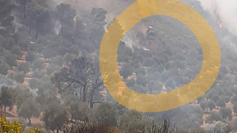 Suben a 600 las hectáreas afectadas por el incendio de Jódar Suben a 600 las hectáreas afectadas por el incendio de Jódar