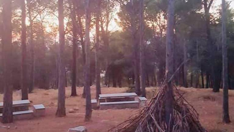 El misterio de la pila de palos en un pino del Neveral El misterio de la pila de palos en un pino del Neveral