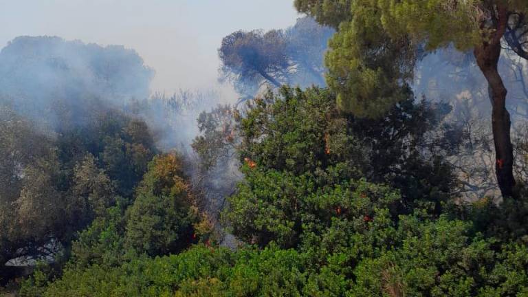 Activado el nivel 1 de alerta por el incendio en Puerto Real que corta la AP-4 en ambos sentidos Activado el nivel 1 de alerta por el incendio en Puerto Real que corta la AP-4 en ambos sentidos