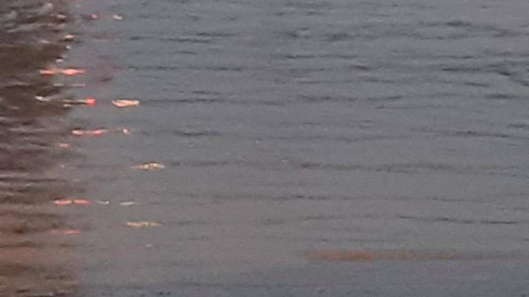 La lluvia se ceba con la provincia y registra decenas de incidencias La lluvia se ceba con la provincia y registra decenas de incidencias