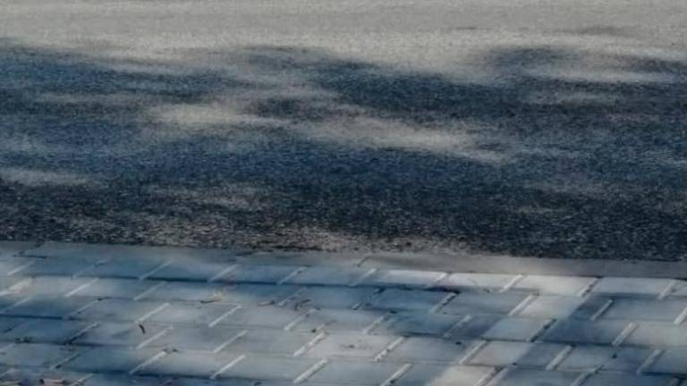 El colegio Cándido Nogales tendrá paso de cebra más pronto que tarde El colegio Cándido Nogales tendrá paso de cebra más pronto que tarde