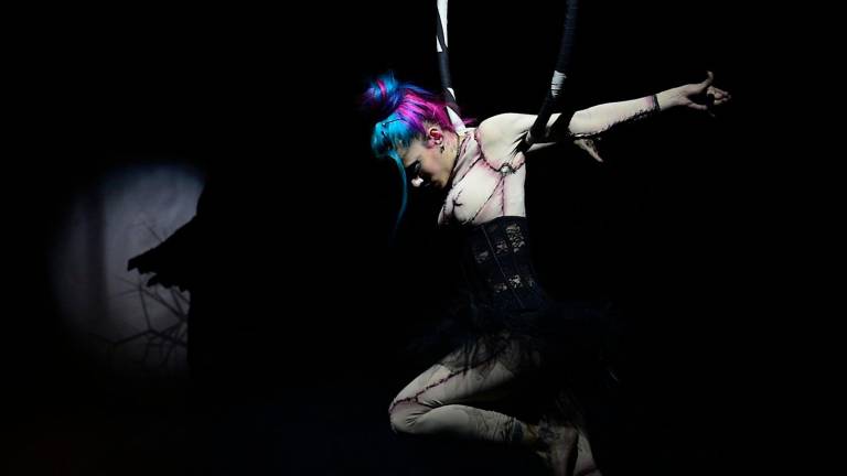 Circo y terror con dosis de humor Circo y terror con dosis de humor