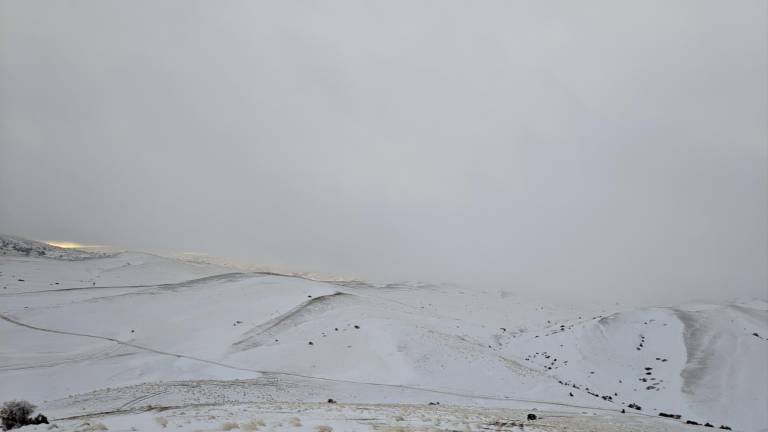 Nieva en los Campos de Hernán Pelea Nieva en los Campos de Hernán Pelea