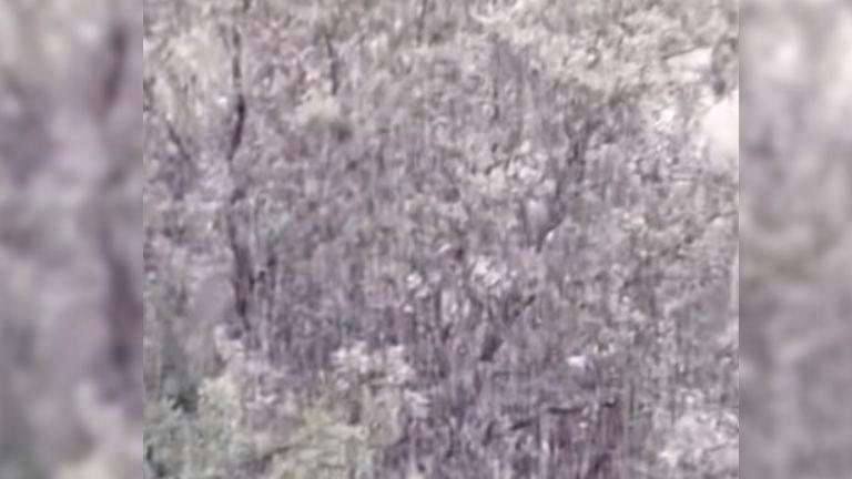 ¡Esto sí es nevar en el Parador de Cazorla! ¡Esto sí es nevar en el Parador de Cazorla!