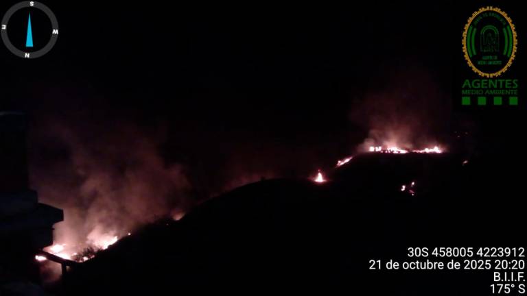 Queda controlado el conato de incendio en Vilches Queda controlado el conato de incendio en Vilches